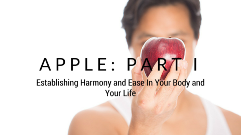 Apple Course: Part I