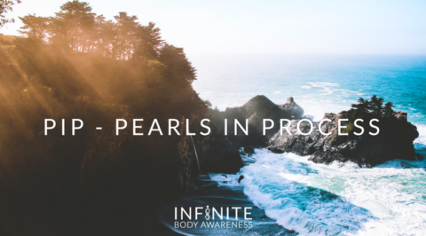 PIP – Pearls in Process