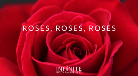Roses, Roses, Roses