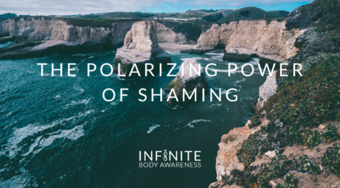 The Polarizing Power of Shaming