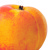 Group logo of Peach